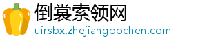 矽速科技与PLCT实验室联合宣布：LicheePi 4A 软件生态并入 RuyiSDK 项目，共建 RISC-倒裳索领网